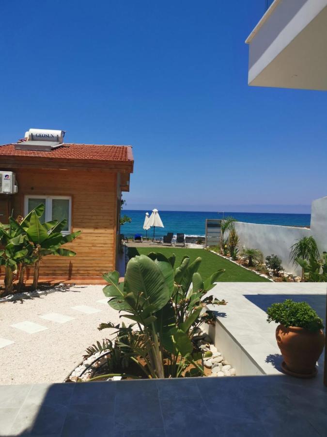 Agia Marina Chrysochous Apartment Kato Yialia ภายนอก รูปภาพ