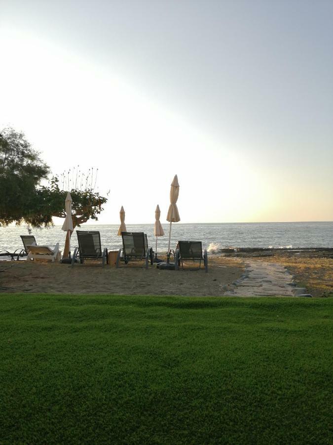Agia Marina Chrysochous Apartment Kato Yialia ภายนอก รูปภาพ